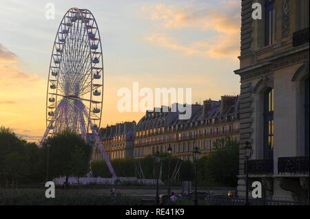 Riesenrad in den Jardin des Tuileries, Paris, Frankreich, Europa Stockfoto