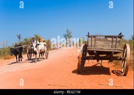 Madagassische Volk auf einem Red Road, Morondava, Madagaskar, Afrika Stockfoto
