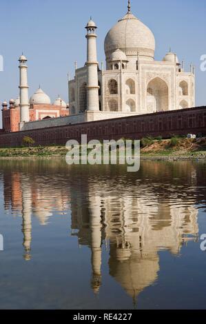 Taj Mahal in der Yamuna Fluss widerspiegelt, UNESCO-Weltkulturerbe, Agra, Uttar Pradesh, Indien, Asien Stockfoto