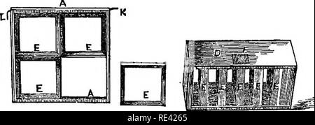 . Die Gärten, Geflügel, und Bienen; umarmen. Gartenarbeit ; Geflügel ; Bienen. Die Biene. 165 und in zahlreichen Fällen die "bewegliche Frames", wie es in anderen Nesselsucht gebaut, sind völlig nutzlos, soweit sie die Kämme betrifft, auf die Bienen ihre Waben bauen über sie hinweg, befestigen Sie alle zusammen. Es wird beobachtet, daß, während die Bienen Insgesamt sind in diesem "dividinff-Hive, "das gleiche wie in jedem quadratischen Kasten-Hive, und den zentralen Teil mit ihrer Brut besetzen - Kämme, wie es ihre Gewohnheit, entweder Teil können entfernt werden, um einen Teil der Th bekommen Stockfoto