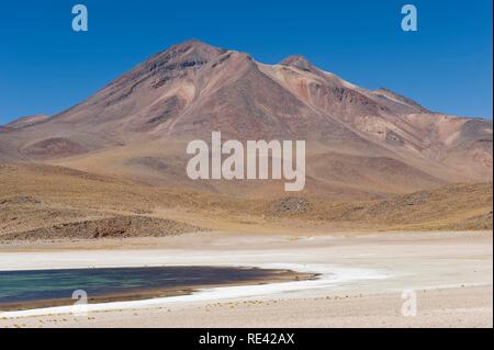 Laguna Miscanti und Miniques Vulkan, Atacama Salzsee, Atacama-wüste, Chile, Südamerika Stockfoto