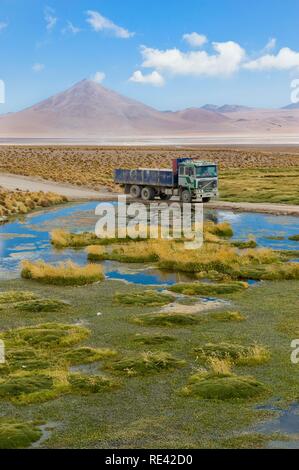 Laguna Colorada, Rote Lagune, Altiplano flachen Salt Lake, Potosi, Bolivien, Südamerika Stockfoto