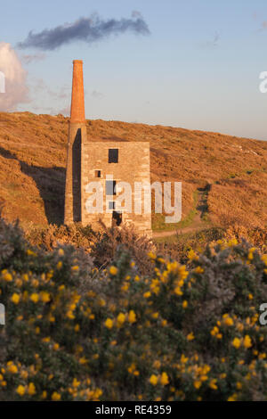 Goldene Stunde in Wheal Prosper, Rinsey, Cornwall Stockfoto