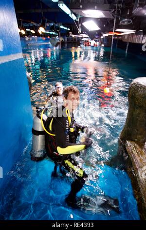 Taucher in das Dubai Aquarium und der Unterwasser Zoo an der Dubai Mall, Dubai, Vereinigte Arabische Emirate, Naher Osten Stockfoto