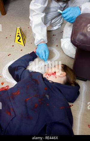 Die Sicherung von Spuren von DNS mit einem Wattestäbchen, ein Offizier der C.I.D., die Kriminalpolizei, das Sammeln Stockfoto