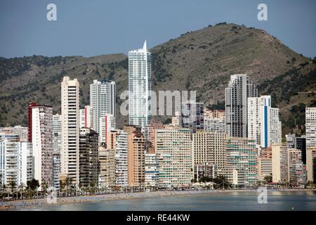 Skyline von Benidorm, Costa Blanca, Provinz Alicante, Spanien, Europa Stockfoto