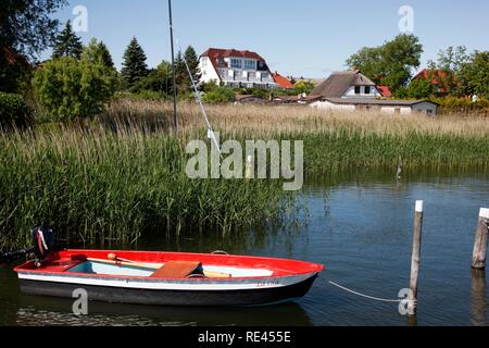 Hafen in Breege im Norden der Insel Rügen, Mecklenburg-Vorpommern Stockfoto