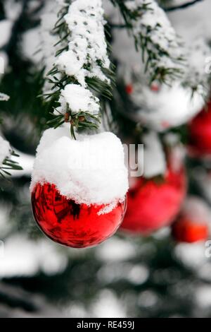 Verschneite Weihnachten Baum mit roten Kugeln Stockfoto
