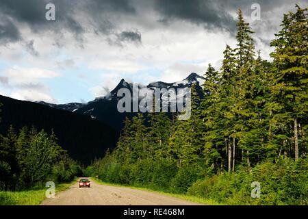 Wald in der Nähe von Juneau, Alaska, USA Stockfoto