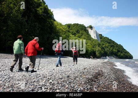 Königsstuhl Kalkstein Klippen, Steilküste, Ostsee Küste auf der Halbinsel Jasmund, Nationalpark, im Nordosten der Insel Rügen Stockfoto