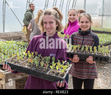 Kinder mit Wohnungen von Gemüse pflanzen, pflanzen Stockfoto