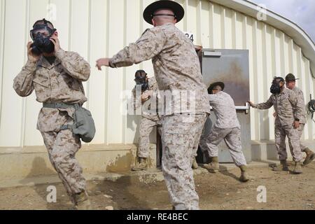 Drill instructors von Golf Company, 2 Recruit Training Bataillon, guide Rekruten aus dem Vertrauen der Kammer auf der Marine Corps Base Camp Pendleton, Calif., Nov. 28. Während in der Kammer, Rekruten gelernt, die richtige Verwendung der Gasmaske und Clearing Techniken. Jährlich mehr als 17.000 Männer aus den westlichen Recruiting Region rekrutiert werden an MCRD San Diego ausgebildet. Golf Company zu graduieren, Dez. 9 geplant. Stockfoto