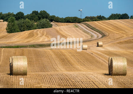 Gemähten Feld Struktur mit vielen großen runden Strohballen mit einem Trail im Hintergrund Stockfoto