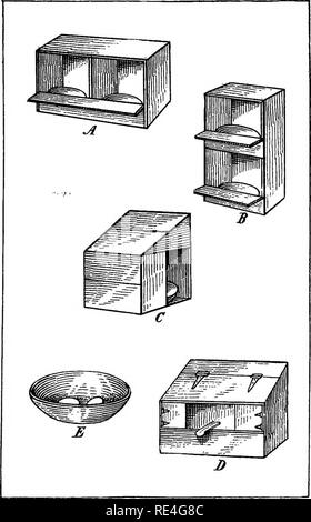 . Die Feder praktische Taube Buch. Tauben. Pläne VON NESTERN A. Paar horizontale Nester. B. Paar vertikale Nester. C. in der Einzigen überdachten Nest. D. Doppelt abgedeckt Nest. E. in der Nest-pan. 39. Bitte beachten Sie, dass diese Bilder sind von der gescannten Seite Bilder, die digital für die Lesbarkeit verbessert haben mögen - Färbung und Aussehen dieser Abbildungen können nicht perfekt dem Original ähneln. extrahiert. Lange, J. C. Washington, D.C., Geo. E. Howard Stockfoto