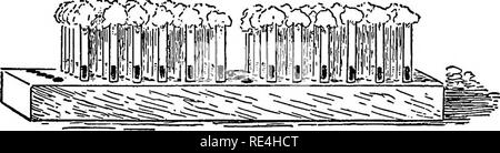 . Ein text-Buch auf die pathogenen Bakterien und Protozoen für Studenten der Medizin und Ärzte. Bakteriologie; pathogenen Bakterien und Protozoen. Prüfung keimtötende Wert von Flüssigkeiten 257 Für die "Subkultur" Rohre, keine Test-tube Rack tun wird, aber es ist bequemer zu haben ein spezielles Rack oder stand. Die Empfehlung enthält fünf Reihen mit je 14 Löchern. Jedes Rohr der Kultur - Medium ist sorgfältig mit einem blauen Stift drei Dinge zu zeigen, die ich, die KEIMTÖTENDE; 2, die Verdünnung; 3, die Zeit der Exposition, und an seiner Stelle im Regal stand, wie nachstehend erläutert wird. Abb. 90.-Block für Su Stockfoto