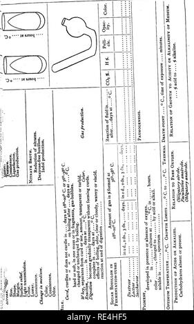 . Ein text-Buch auf die pathogenen Bakterien und Protozoen für Studenten der Medizin und Ärzte. Bakteriologie; pathogenen Bakterien und Protozoen. 1. Ich. s^i2a. SPo P o a o o^s' ag • o c Ho. - C------- â ¢^S '"' o â"¢ h â¢ Si S H • S' S=""Ja""*^&amp; ^^a'Â¢â o6-^° u S ti * 3..5^c rt =^ Ich würde.:=C o^": rt-o Â" â o S Â": E-E2-S S; u 3: Si-SiS&lt; S p Pa?. Bitte beachten Sie, dass diese Bilder aus gescannten Seite Bilder, die digital für die Lesbarkeit verbessert haben mögen - Färbung und Aussehen dieser Abbildungen können nicht Perfekt extrahiert werden Stockfoto