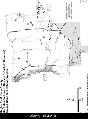 . Access guide Hochland Spiel bird Lebensraum Verbesserung und Fasan release Projekte. Hochland Hochland spiel spiel Vögel; Vögel; Fasan schießen; Fasane; Vogeljagd.   ^ f CO c^V-r' -^O&lt; 1) VL n^LL/^ Ich. CNJ^^. Zu u (1) o F. 4-1 ra 4-1 X (0 p (U, M0) (1) E R O C - ein re c re 0) ein Â £ D Q.&lt Neu; + 17. Bitte beachten Sie, dass diese Bilder sind von der gescannten Seite Bilder, die digital für die Lesbarkeit verbessert haben mögen - Färbung und Aussehen dieser Abbildungen können nicht perfekt dem Original ähneln. extrahiert. Montana. Abt. der Fish, Wildlife und Parks. [Helena]: Monta Stockfoto