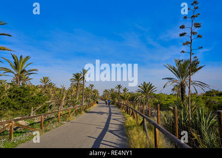 Dünen in Guardamar del Segura Alicante in Spanien Stockfoto