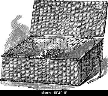 . Die praktischen Taube Keeper. Tauben. Körbe feind Tauben. 63 Diagonal (alle Taube Fächer sollten weiter an den Schultern der Vögel), entsprechend der Größe; für unsere Abbildung haben wir einen kleinen Korb genommen und nur eine Diagonale in jeder Hälfte, insgesamt also vier Vögeln. Jetzt zwei 02^671 Klappe Türen machen, entweder von Licht Kabel oder Korbweide, gerade groß. Rig. 20.- PiGEOH Korb. Genug zu liegen, ihre inneren Seiten auf dem mittleren Stück Holz, und Ihre äußeren Ecken auf kleinen unterstützt in den Ecken im Korb fixiert. Laufwerk in kleinen Heftklammern über den inneren Draht oder ein Stück der wicker I Stockfoto