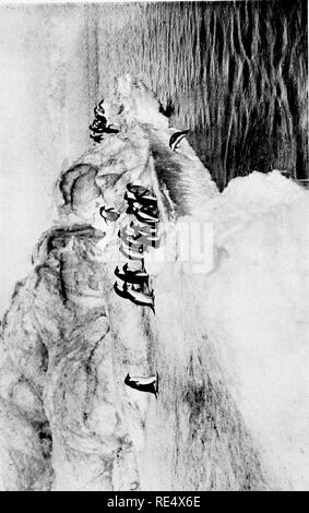 . Antarktis Pinguine; eine Studie über die sozialen Gewohnheiten. Pinguine. o. Bitte beachten Sie, dass diese Bilder sind von der gescannten Seite Bilder, die digital für die Lesbarkeit verbessert haben mögen - Färbung und Aussehen dieser Abbildungen können nicht perfekt dem Original ähneln. extrahiert. Levick, George Murray, 1876 -. London, William Heinemann Stockfoto