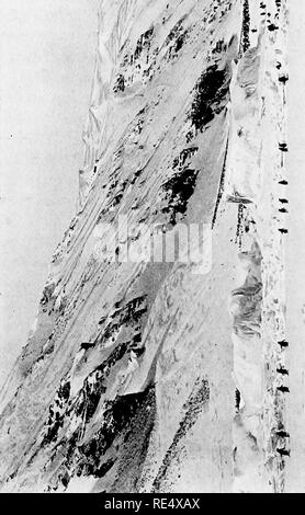 . Antarktis Pinguine; eine Studie über die sozialen Gewohnheiten. Pinguine. o 3 S S 3 3 H5 a. Bitte beachten Sie, dass diese Bilder sind von der gescannten Seite Bilder, die digital für die Lesbarkeit verbessert haben mögen - Färbung und Aussehen dieser Abbildungen können nicht perfekt dem Original ähneln. extrahiert. Levick, George Murray, 1876 -. London, William Heinemann Stockfoto