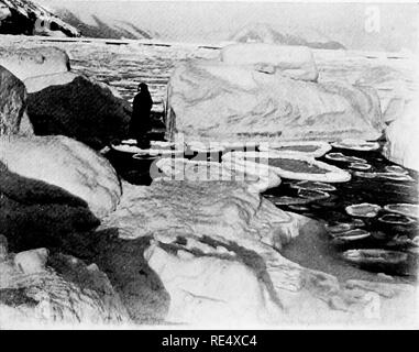 . Antarktis Pinguine; eine Studie über die sozialen Gewohnheiten. Pinguine. Abb. (!. '*. . TdRow Lippe M. vssKs von Ici;,. Bitte beachten Sie, dass diese Bilder sind von der gescannten Seite Bilder, die digital für die Lesbarkeit verbessert haben mögen - Färbung und Aussehen dieser Abbildungen können nicht perfekt dem Original ähneln. extrahiert. Levick, George Murray, 1876 -. London, William Heinemann Stockfoto