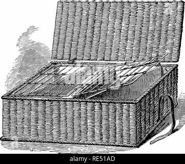 . Die praktischen Taube Keeper. Tauben. Körbe für die Tauben. 63 Diagonal (alle Taube Fächer sollten breiter bei tlie Schultern der Bu-ds) werden, je nach Größe, für unsere Abbildung haben wir einen kleinen Korb genommen und nur eine Diagonale in jeder Hälfte, insgesamt also vier Vögeln. Jetzt zwei O'pen Klappe Türen machen, entweder von Licht Kabel oder Korbweide, gerade groß. Abb. 20.- Taube Korb. Genug zu liegen, ihre inneren Seiten auf dem mittleren Stück Holz, und Ihre äußeren Ecken auf kleinen unterstützt in den Ecken im Korb fixiert. Laufwerk in kleinen Heftklammern über den inneren Draht oder ein Stück der wicker I Stockfoto