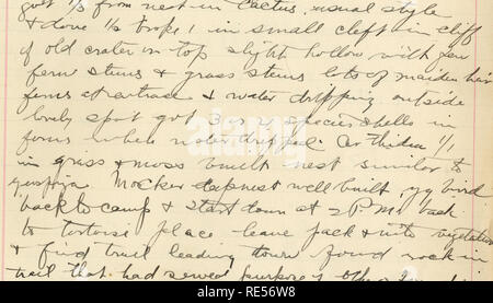 . Rollo Beck Galapagos expedition Journal, 1905-1906 (inklusive). Wissenschaftliche Expeditionen - Südamerika. . Bitte beachten Sie, dass diese Bilder sind von der gescannten Seite Bilder, die digital für die Lesbarkeit verbessert haben mögen - Färbung und Aussehen dieser Abbildungen können nicht perfekt dem Original ähneln. extrahiert. Beck, Rollo Howard. Stockfoto