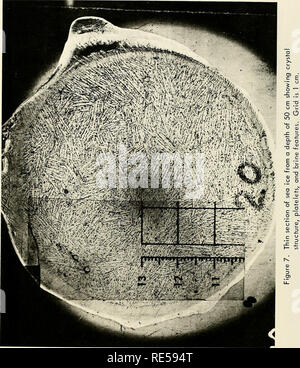 . Kristallographische Studien von Meereis im McMurdo Sound, Antarktis. Meereis; Eiskristalle. 12. Bitte beachten Sie, dass diese Bilder sind von der gescannten Seite Bilder, die digital für die Lesbarkeit verbessert haben mögen - Färbung und Aussehen dieser Abbildungen können nicht perfekt dem Original ähneln. extrahiert. Paige, Russell A., 1929 -. Port Hueneme, Calif.: Marine Engineering Befehl, US Naval Tiefbau Labor Stockfoto