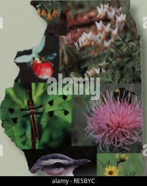 . Kritische Trends Assessment Program: ein Auge auf Illinois Lebensräume. Allgemeinmedizin trends Assessment Program; Erhaltung der Lebensräume. Illinois Abteilung der natürlichen Ressourcen von Immo- und Umweltplanung Abteilung der Überprüfung und Koordinierung einer natürlichen Ressourcen Weg, Springfield, Illinois 62702-1271 Büro der wissenschaftlichen Forschung und Analyse Illinois Natural History Survey 1816 South Oak Street Champaign, Illinois 61820 Februar 2007. Alle CTAP und Ökosysteme Programm Dokumente aus dem DNR Clearinghouse an (217) 782-7498 oder TTY (217) 782-9175 erhältlich. Ausgewählte Publikationen Stockfoto