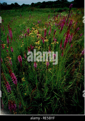 . Kritische Trends Assessment Program: ein Auge auf Illinois Lebensräume. Allgemeinmedizin trends Assessment Program; Erhaltung der Lebensräume. Eine größere Anstrengung zu verwalten und diese Lebensräume zu den national Zustand der Referenzseiten Wiederherstellung zu starten. Dies kann ein hohes Ziel zu erreichen, aber nicht unrealistisch. Unsere Empfehlungen sind: • mehr Kommunikation und Koordina-tion zwischen verschiedenen natürlichen Ressource Agenturen einen ganzheitlichen Ansatz Management in Illinois zu Land zur Verfügung zu stellen. Zum Beispiel im Fall von Wäldern, wo große Bereiche der Lebensraum bereits existieren, Bem ühungen, die armen Login zu verringern Stockfoto