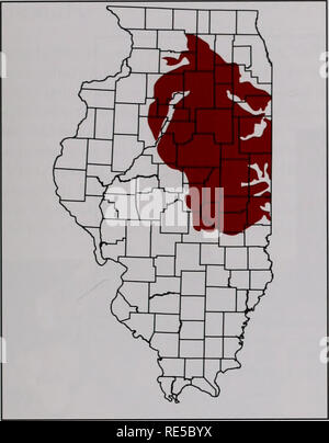 . Kritische Trends Assessment Program: ein Auge auf Illinois Lebensräume. Allgemeinmedizin trends Assessment Program; Erhaltung der Lebensräume. Ergebnisse für die Grand Prairie Abschnitt • EPT Reichtum war in bezug Streams höher als in zufällig ausgewählten Channelized oder gewundenen Bächen (Abb. 24). Stream Größe hatten weniger Einfluss auf EPT Reichtum, ohne bedeutende dif Konferenzen über kleine und große Reference Streams, aber bedeutende diflerences für Große und Kleine randomisierte Streams. • HBI hatte kleiner (besser) durchschnittliche Ergebnisse in bezug Streams, aber der Unterschied war nicht signifikant. • HQI wa Stockfoto