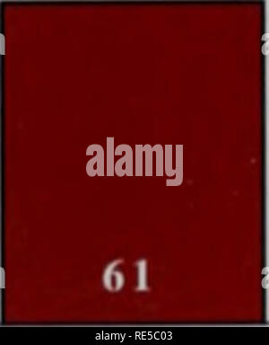 . Kritische Trends Assessment Program: ein Auge auf Illinois Lebensräume. Allgemeinmedizin trends Assessment Program; Erhaltung der Lebensräume. (Huniu MejindiTinj; 'Li/Ich würde Bild 20. HP T Taxa Reichtum für gewundene und kanalisierten Bächen. Zahlen in Balken zeigen die Stichprobengröße. 23. Bitte beachten Sie, dass diese Bilder sind von der gescannten Seite Bilder, die digital für die Lesbarkeit verbessert haben mögen - Färbung und Aussehen dieser Abbildungen können nicht perfekt dem Original ähneln. extrahiert. Illinois. Natural History Survey Division; Illinois. Abt. der natürlichen Ressourcen. Champaign, Illinois: Illinois Stockfoto