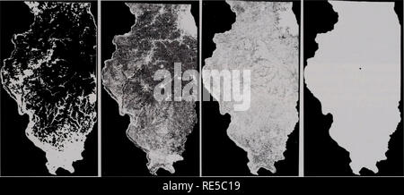 . Kritische Trends Assessment Program: ein Auge auf Illinois Lebensräume. Allgemeinmedizin trends Assessment Program; Erhaltung der Lebensräume. mit europäischen Futtergräser. Im Fall von Vögeln, siehe-ence Aufstellungsorte hatte eine größere Artenvielfalt als der nach dem Zufallsprinzip ausgewählten Standorten (Abb. 18). Wie patch Größe erhöht mehr Vogelarten gefunden werden, einschließlich Lebensraum und Bereich abhängigen Arten (Abb. 19). Diese Ergebnisse sind nicht überraschend, da viele Studien haben gezeigt, dass große Flächen des Grases - Landet mehr Grünland Vogelarten halten.. Prairie 1820 (10 Millionen Hektar) Landwirtschaft 1999 Kulturflächen Gra Stockfoto