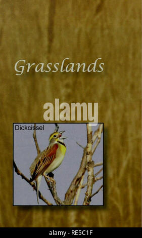 . Kritische Trends Assessment Program: ein Auge auf Illinois Lebensräume. Allgemeinmedizin trends Assessment Program; Erhaltung der Lebensräume. . Bitte beachten Sie, dass diese Bilder sind von der gescannten Seite Bilder, die digital für die Lesbarkeit verbessert haben mögen - Färbung und Aussehen dieser Abbildungen können nicht perfekt dem Original ähneln. extrahiert. Illinois. Natural History Survey Division; Illinois. Abt. der natürlichen Ressourcen. Champaign, Illinois: Illinois Natural History Survey Stockfoto
