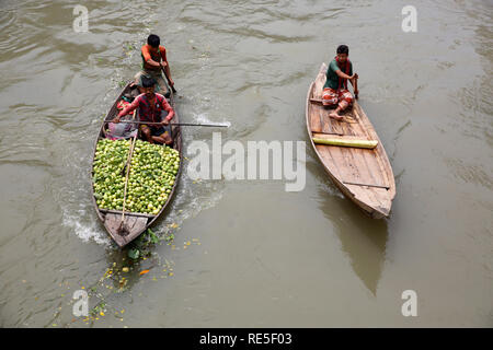 Die Landwirte Rudern ein Boot voller Guaven auf dem Weg zum schwimmenden Markt in Jhalakati Vimruli, Bangladesch Stockfoto