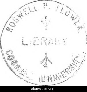 . Der Landwirt Tierarzt: Eine praktische Abhandlung über die Krankheiten der landwirtschaftlichen Lager. Veterinärmedizin. lEe's Landwirt Tierarzt eine praktische Abhandlung über die Krankheiten von Farin lieferbar S mit Bnet und beliebten Beratung über die Natur, die Ursache und die Behandlung der Krankheit, die Conunon Aifanents und die Pflege und Bewirtschaftung der Bestände, wenn Krank VON CHARLES WILLIAM BURKETT Editor der amerikanischen AgricuSurist dargestellt. NEW YORK ORANGE JUDD UNTERNEHMEN 19 10. Bitte beachten Sie, dass diese Bilder aus gescannten Seite Bilder, die digital für die Lesbarkeit verbessert haben mögen - Färbung und Erscheinungsbild der extrahiert werden Stockfoto