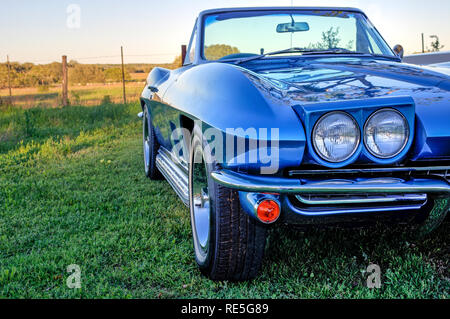 Blau 1967 Chevrolet Corvette Stingray convertible von Weiden mit grasenden Schafen bei Sonnenuntergang auf einem Texas Landstraße geparkt. Stockfoto