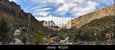 Pima Canyon Trail in Coronado National Forest. Die Santa Catalina Mountains gesehen werden kann, mit Tucson, Arizona in der Ferne. Stockfoto