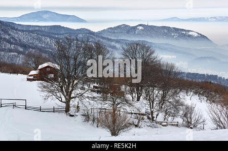 Winterliche grauen Morgen Landschaft bis in den Bergen in der Nähe von Brasov, Rumänien. Bunloc Chalet. Nebligen Täler. Stockfoto