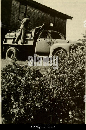 . Preiselbeeren;: die nationalen cranberry Magazin. Preiselbeeren. INTERVIEW ab Seite 12 Flachbild-Kopf fort, V-8 Pumpe und ihre Wisconsin Pumpe, auch unmuffled. "Vielleicht werden sie uns neue Pumpen kaufen," sinnierte Lyon. Es ist erfrischend, mit solchen begeisterten jungen Züchtern zu sprechen. Die Carters weit von entmutigt durch die lange und harte Arbeit der Gründung eines neuen Unternehmens. Zu Ihnen, Cranberries scheinen auch die Mühe wert.. Suchen Sie in der großen Scheune beherbergt die meisten der Carters "Maschinen im Hotel in Kingston. Die Chevrolet Dump Truck 1953 ist in gutem Betriebszustand und Stockfoto