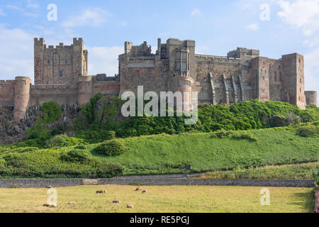 Die südwestliche Gesicht von Bamburgh Castle, Bamburgh, Northumberland, England, Vereinigtes Königreich Stockfoto