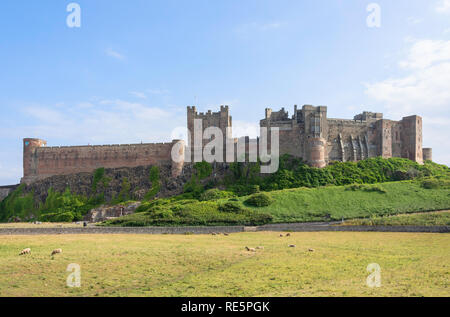 Die südwestliche Gesicht von Bamburgh Castle, Bamburgh, Northumberland, England, Vereinigtes Königreich Stockfoto