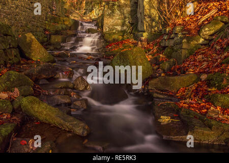 Herbst Zeit an Lumsdale Tal in Derbyshire. Stockfoto