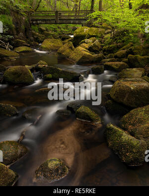 Burbage Bach an Paddley Schlucht in den Peak District National Park, Derbyshire. Stockfoto