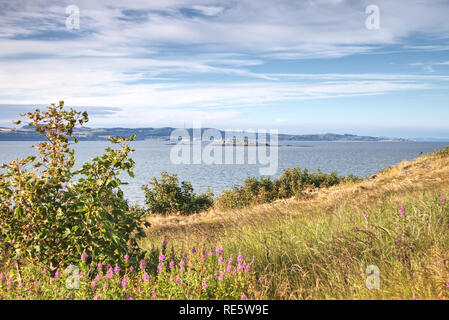 Ein Foto von der Insel Inchmickery in der Firth-of-Forth, von Cramond Insel in der Nähe von Edinburgh, Schottland, Vereinigten Königreich übernommen. Stockfoto