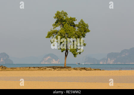 Tambon Nong Thale Strand, Wat Chang Krabi in Thailand Stockfoto