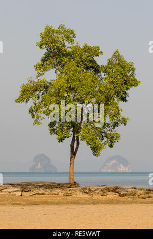 Tambon Nong Thale Strand, Wat Chang Krabi in Thailand Stockfoto