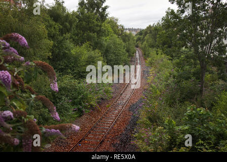 Ein Foto von einem verlassenen einspurige Eisenbahnlinie durch den Butterfly Bäume (lila) in Schottland umgeben. Stockfoto