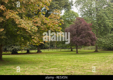 Eine Landschaft Landschaft im Sommer mit Holz- barrieren Stockfoto